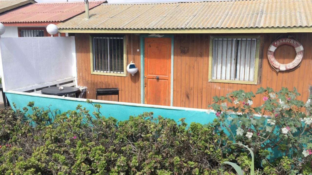Cabanas Juan Gaviota Punta de Choros Eksteriør bilde