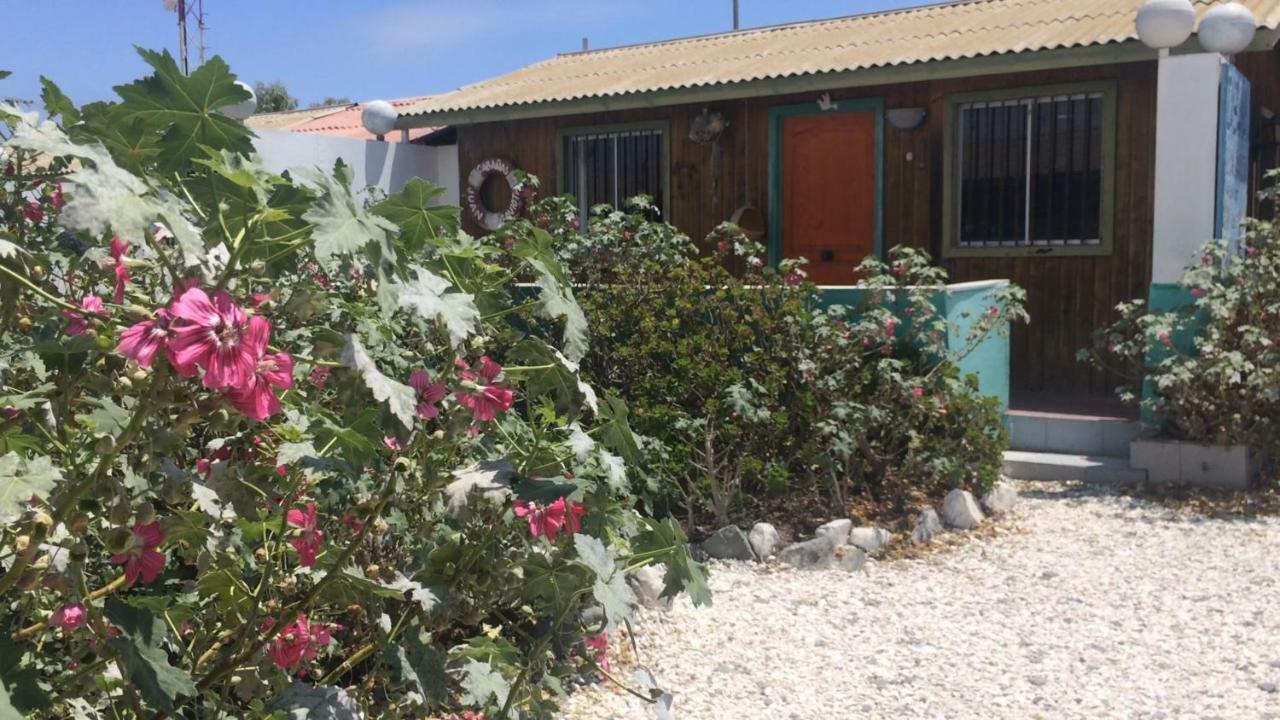 Cabanas Juan Gaviota Punta de Choros Eksteriør bilde