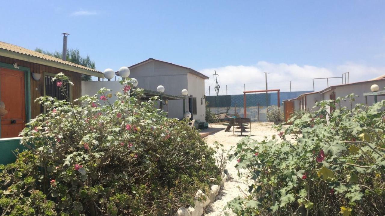 Cabanas Juan Gaviota Punta de Choros Eksteriør bilde