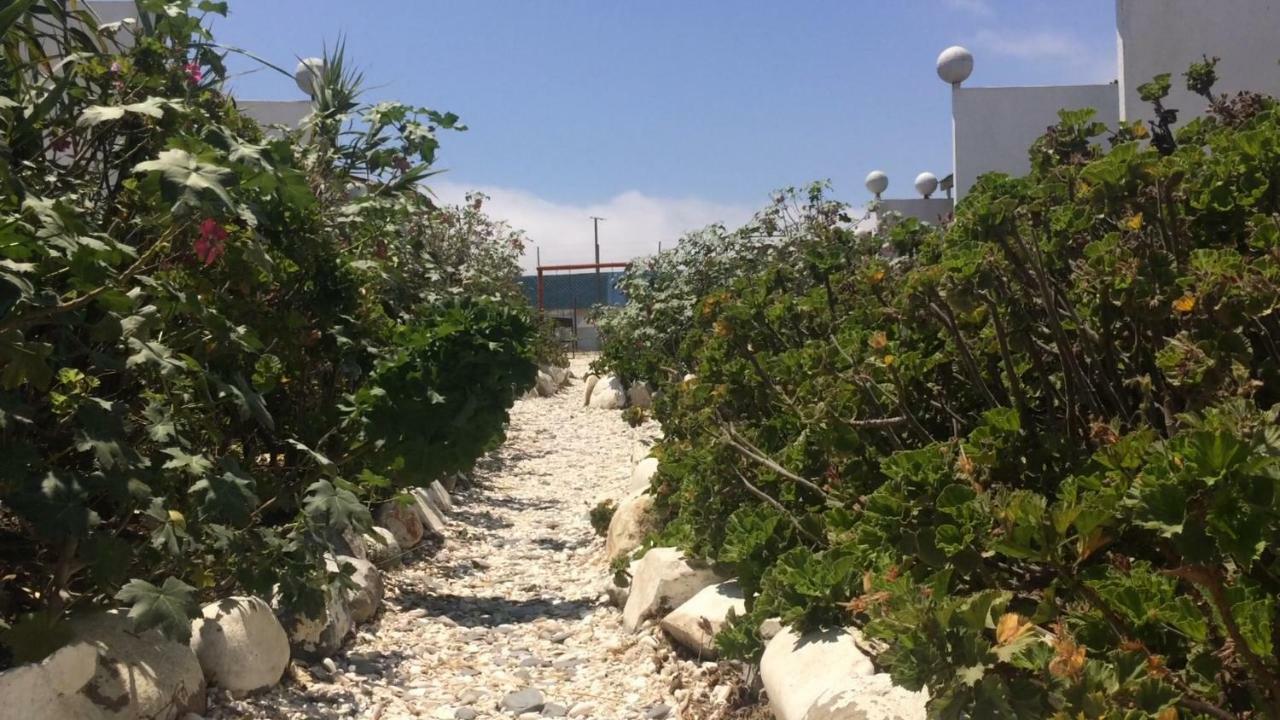 Cabanas Juan Gaviota Punta de Choros Eksteriør bilde