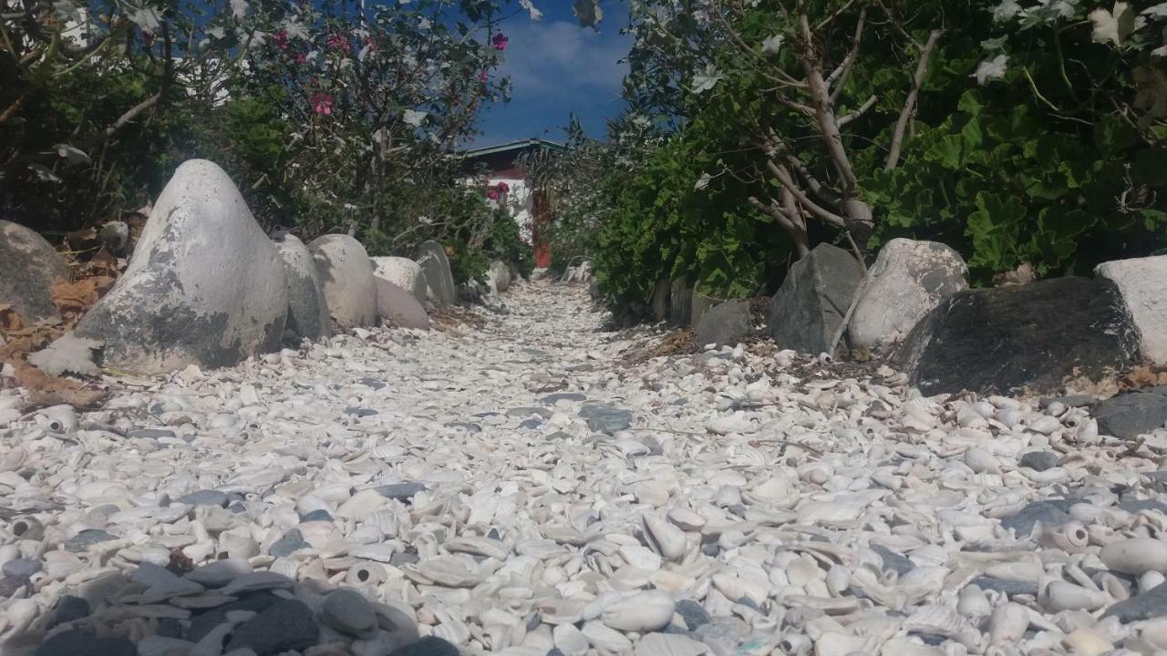 Cabanas Juan Gaviota Punta de Choros Eksteriør bilde
