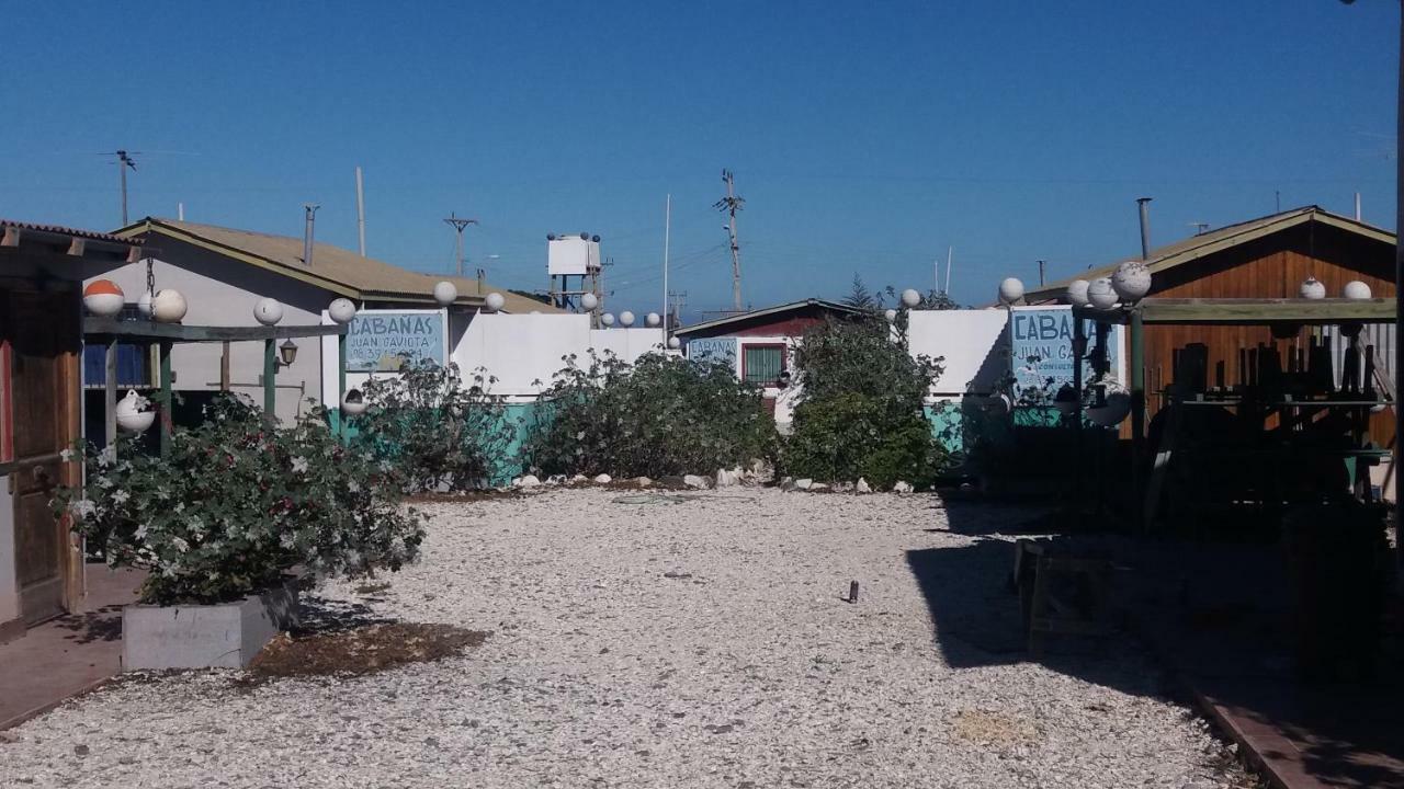 Cabanas Juan Gaviota Punta de Choros Eksteriør bilde